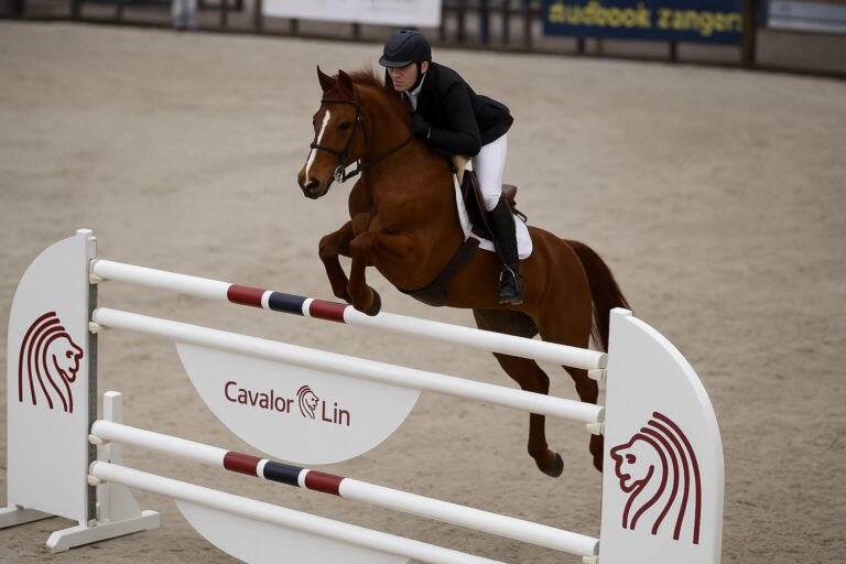 Capítulo 2 – Dez Anos em Duas Rédeas: Da Escolinha ao Campeão